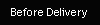 Before Delivery