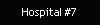 Hospital #7